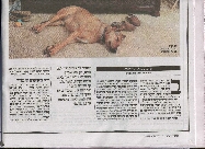 Click to see yediot2.jpg
